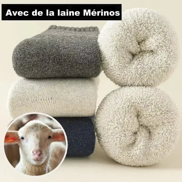 Chaussettes en laine mérinos femme et homme (lot de 3 paires)